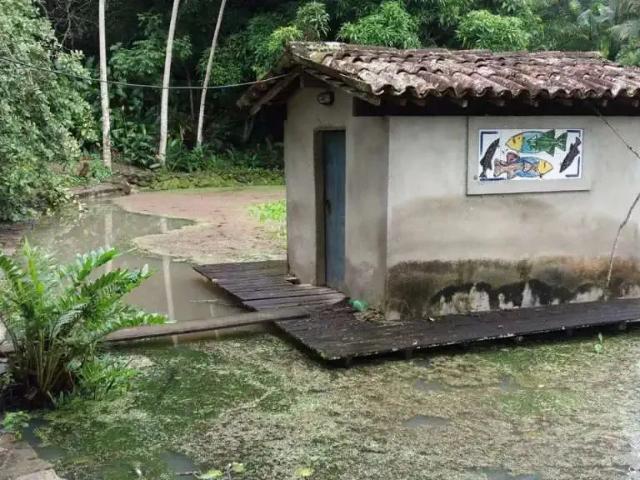 Sítio e chácara venda em Região Geográfica Imediata de Caruaru, Gravata