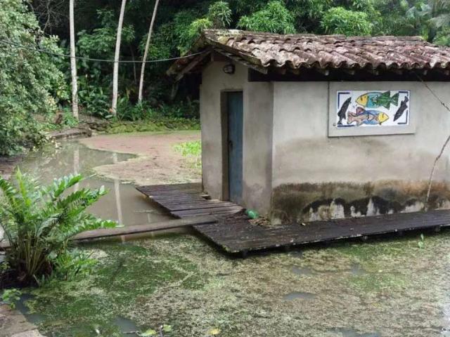 Sítio e chácara venda em Gravatá