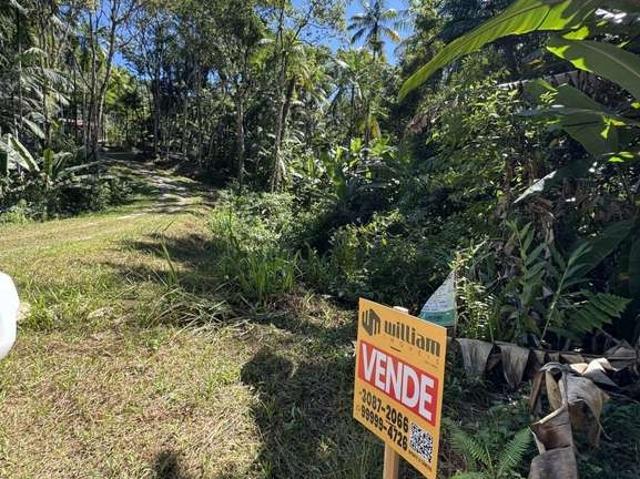 Sítio e chácara venda em Guabiruba, Alsácia