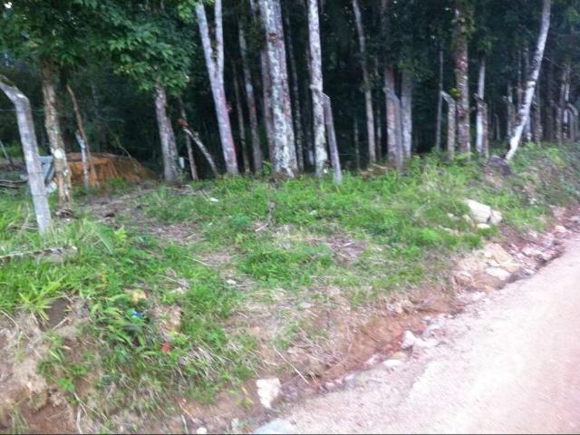 Sítio e chácara venda em Guabiruba, Alsácia