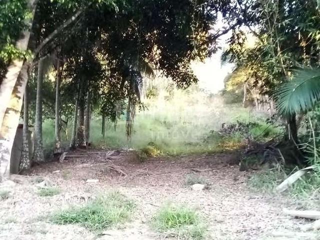 Sítio e chácara venda em Guabiruba, Imigrantes