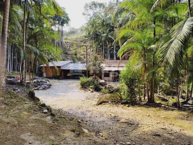 Sítio e chácara venda em Região Geográfica Imediata de Brusque, Guabiruba