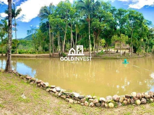 Sítio e chácara venda em Guabiruba, Lageado Baixo