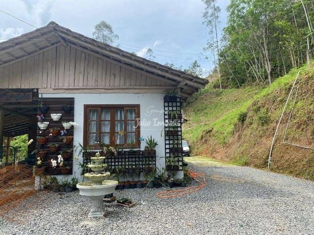 Sítio e chácara venda em Guabiruba, Planície Alta