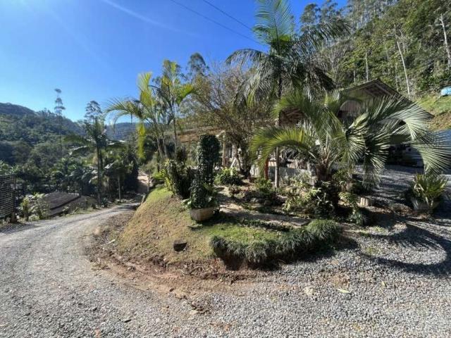 Sitio venda em Guabiruba, Planície Alta