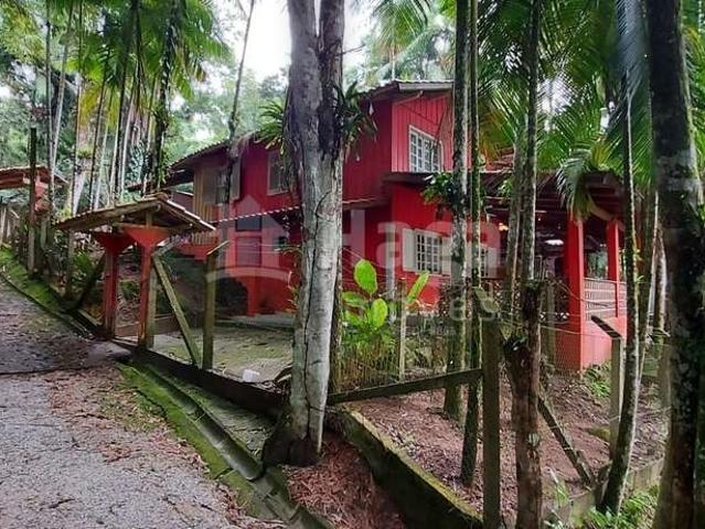 Sítio e chácara venda em Guabiruba, São Pedro