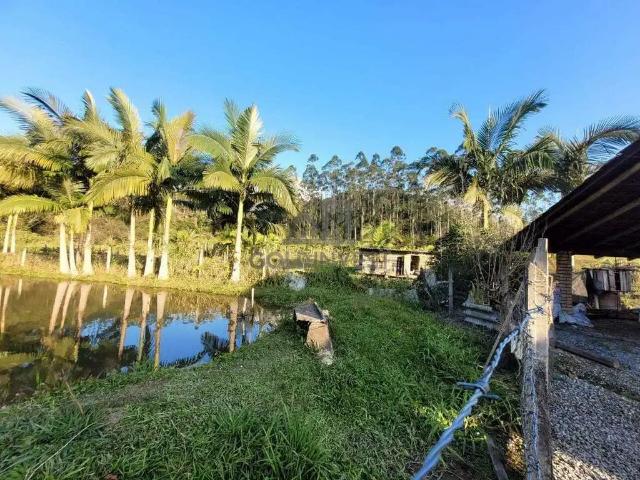 Sítio e chácara venda em Região Geográfica Imediata de Brusque, Guabiruba
