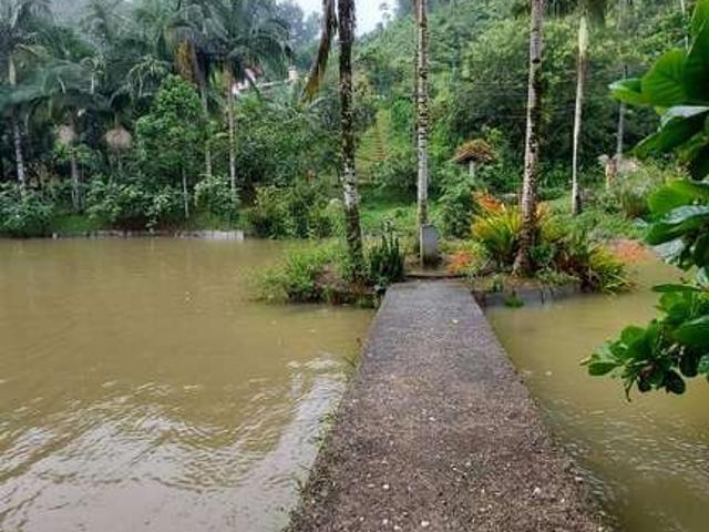 Sítio e chácara venda em Guabiruba, São Pedro