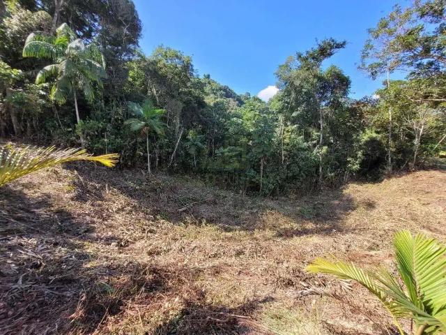 Sítio e chácara venda em Região Geográfica Imediata de Brusque, Guabiruba