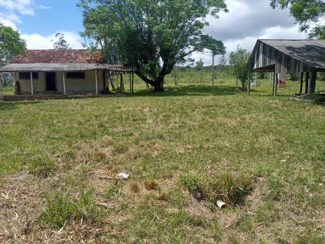 Sítio e chácara venda em Neiwa, Guaíba