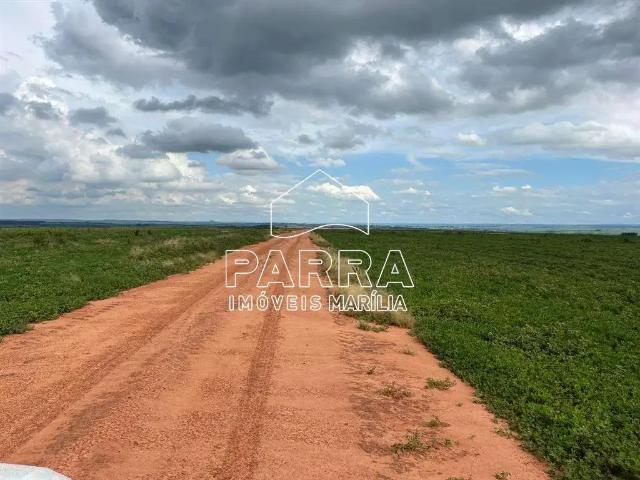Sítio e chácara venda em Região Imediata de Marília, Guaimbê