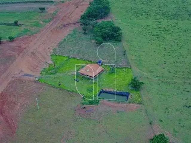 Sítio e chácara venda em Guaimbê, Região Geográfica Intermediária de Marília