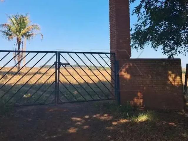 Sítio e chácara venda em Região Imediata de Marília, Guaimbê