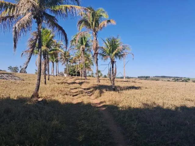 Sítio e chácara venda em Região Imediata de Marília, Guaimbê