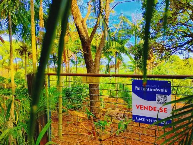 Sítio e chácara venda em Região Geográfica Imediata de Paranavaí, Guairaçá