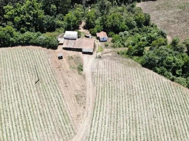 Sítio e chácara venda em Região Geográfica Imediata de Guarapuava, Guamiranga