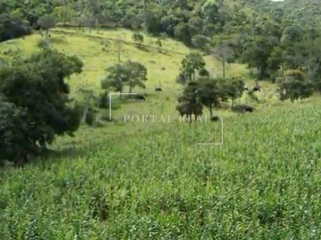 Sítio e chácara venda em Guapé, Região Geográfica Intermediária de Varginha