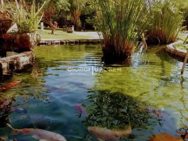 Sítio e chácara venda em Região Imediata de São José do Rio Preto, Região Metropolitana de São José do Rio Preto