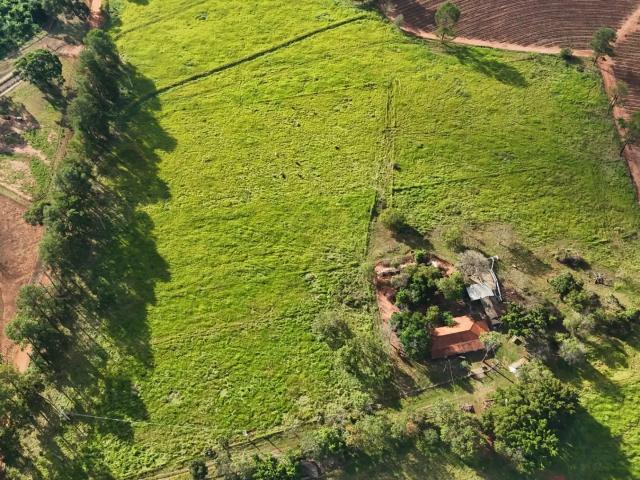 Sítio e chácara venda em Região Imediata de São José do Rio Preto, Região Metropolitana de São José do Rio Preto