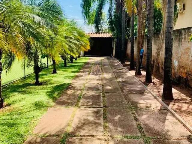 Sítio e chácara venda em Guapiaçu, Região Geográfica Intermediária de São José do Rio Preto
