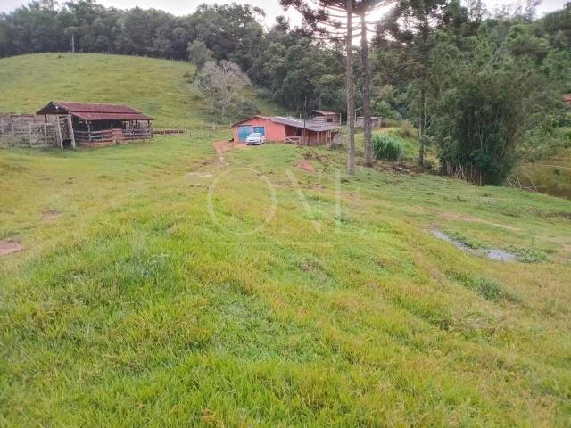 Sítio e chácara venda em Guapiara