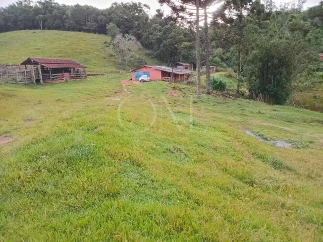 Sítio e chácara venda em Região Imediata de Itapeva, Guapiara