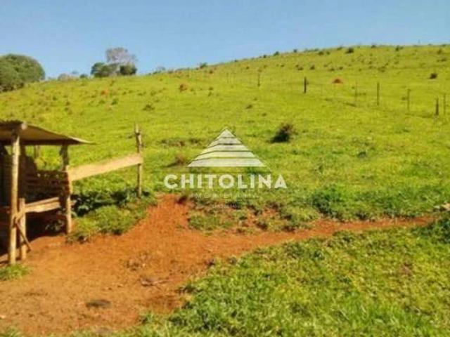Sítio e chácara venda em Região Imediata de Itapeva, Guapiara