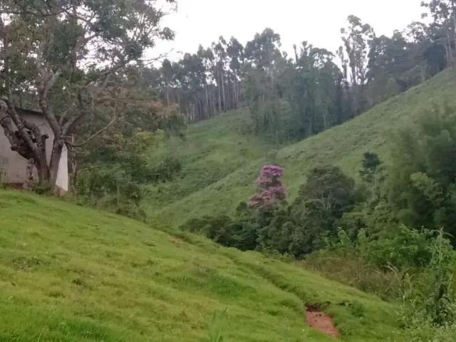 Sítio e chácara venda em Região Imediata de Itapeva, Guapiara
