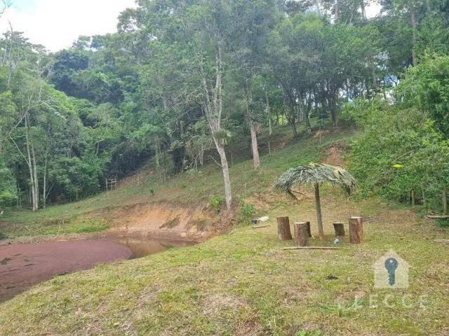 Sítio e chácara venda em Região Imediata de Itapeva, Guapiara