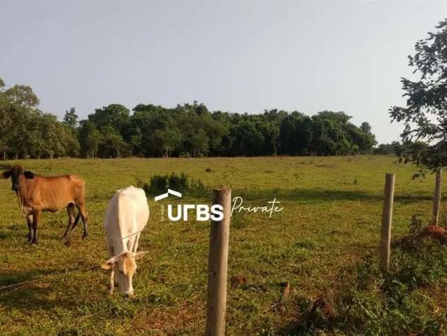 Sítio e chácara venda em Região Geográfica Imediata de Goiânia, Guapó