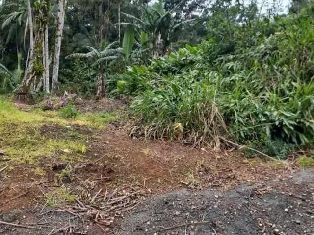 Sítio e chácara venda em Região Geográfica Imediata de Joinville, Guaramirim