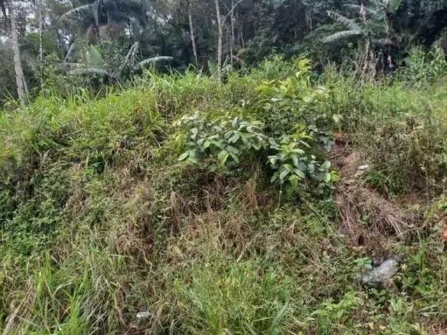 Sítio e chácara venda em Região Geográfica Imediata de Joinville, Guaramirim