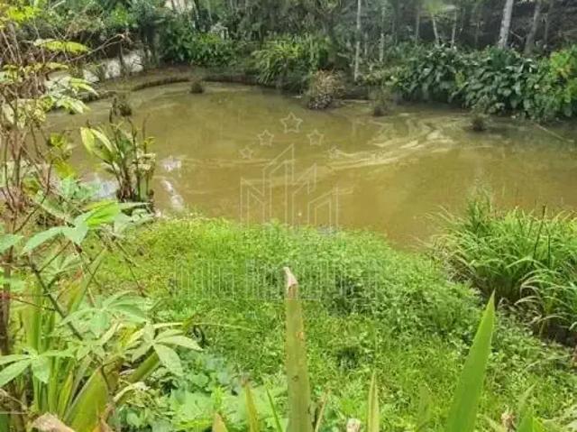 Sítio e chácara venda em Região Geográfica Imediata de Joinville, Guaramirim