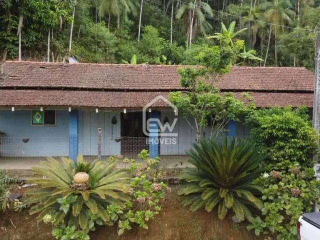 Sítio e chácara venda em Região Geográfica Imediata de Joinville, Guaramirim