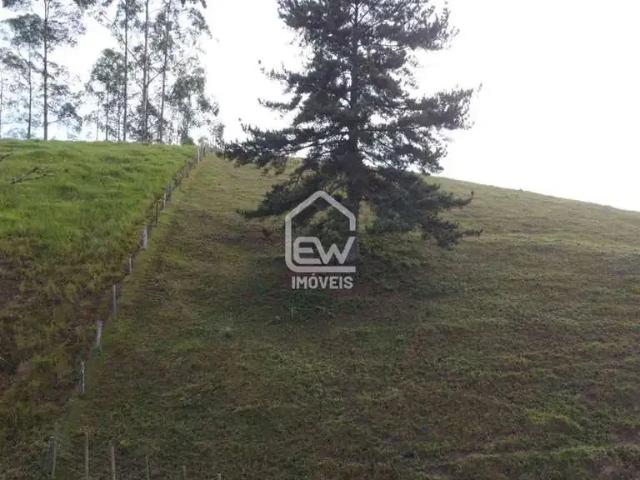 Sítio e chácara venda em Região Geográfica Imediata de Joinville, Guaramirim