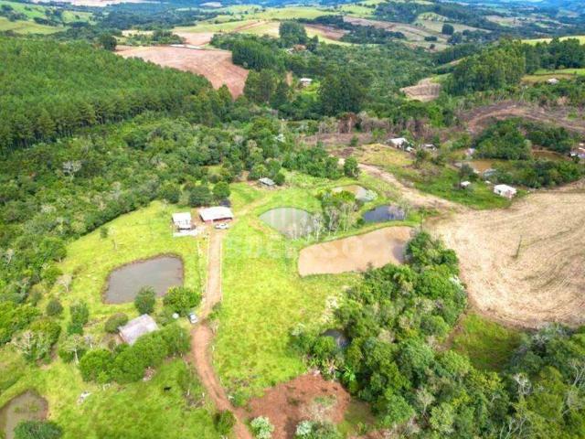 Sítio e chácara venda em Região Geográfica Imediata de Cascavel, Guaraniaçu