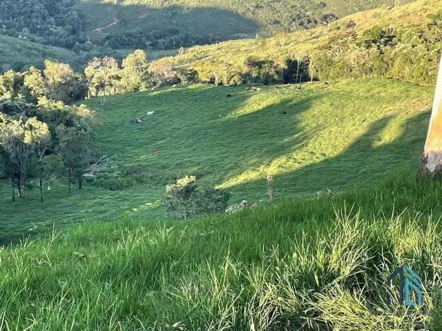 Sítio e chácara venda em Região Geográfica Imediata de Nova Prata - Guaporé, União da Serra