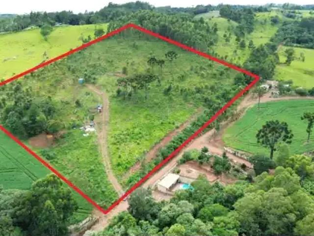 Sítio e chácara venda em Guaraniaçu, Região Geográfica Intermediária de Cascavel