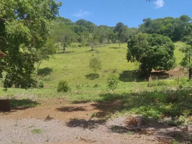 Sítio e chácara venda em Região Geográfica Imediata de Cascavel, Guaraniaçu