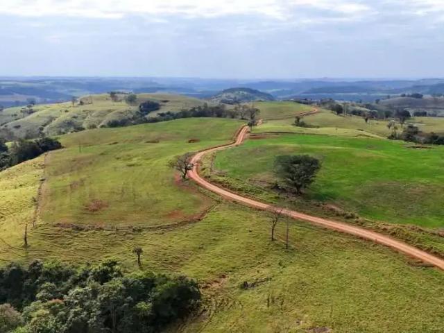 Sítio e chácara venda em Região Geográfica Imediata de Cascavel, Guaraniaçu