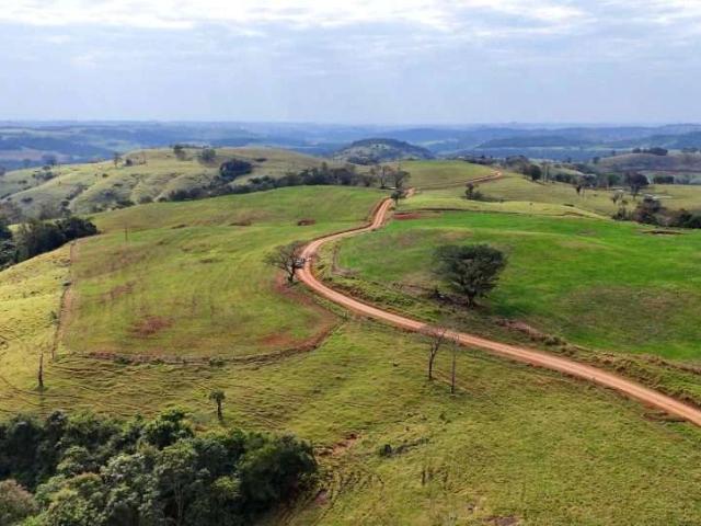 Sítio e chácara venda em Guaraniaçu, Região Geográfica Intermediária de Cascavel