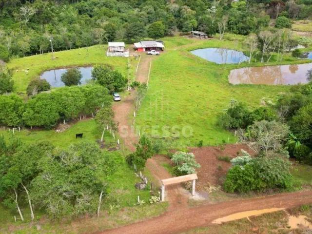 Sítio e chácara venda em Região Geográfica Imediata do Distrito Federal, Região Integrada de Desenvolvimento do Distrito Federal e Entorno