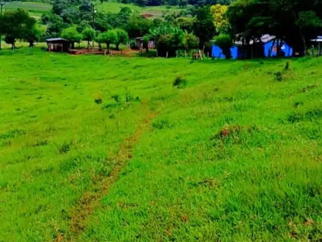 Sítio e chácara venda em Região Geográfica Imediata de Cascavel, Guaraniaçu