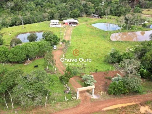 Sítio e chácara venda em Região Geográfica Imediata de Cascavel, Guaraniaçu