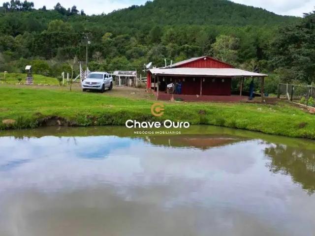 Sítio e chácara venda em Região Geográfica Imediata de Cascavel, Guaraniaçu