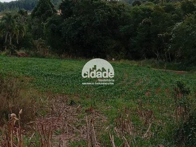 Sítio e chácara venda em Região Geográfica Imediata de Cascavel, Guaraniaçu