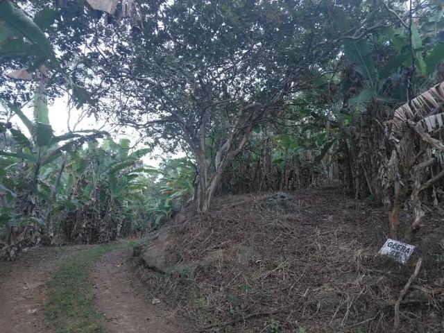 Sítio e chácara venda em Região Geográfica Imediata de Vitória, Região Metropolitana da Grande Vitória