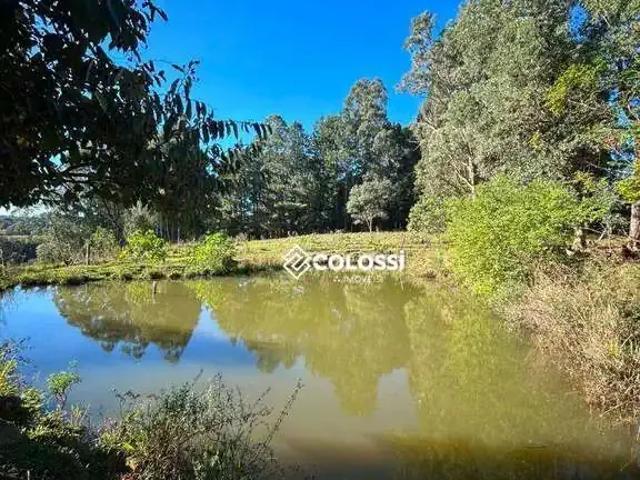 Sítio e chácara venda em Região Geográfica Imediata de Guarapuava, Guarapuava