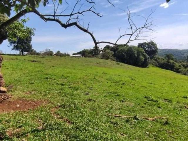 Sítio e chácara venda em Guarapuava, Região Geográfica Intermediária de Guarapuava