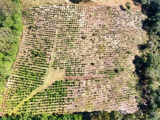 Sítio e chácara venda em Região Geográfica Imediata de Guarapuava, Guarapuava